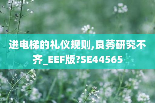 进电梯的礼仪规则,良莠研究不齐_EEF版?SE44565