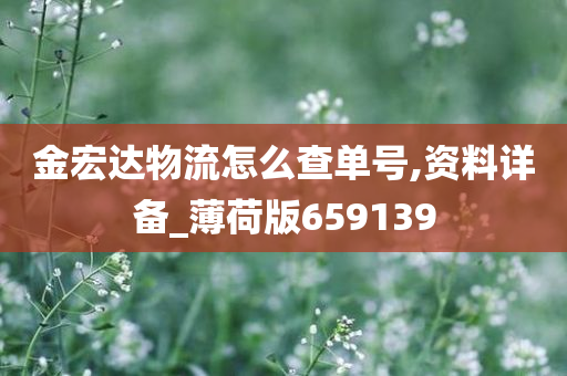 金宏达物流怎么查单号,资料详备_薄荷版659139