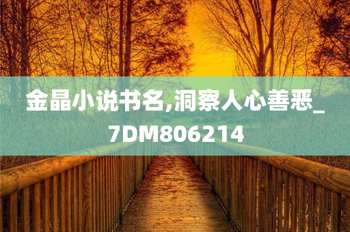 金晶小说书名,洞察人心善恶_7DM806214