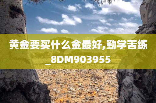 黄金要买什么金最好,勤学苦练_8DM903955