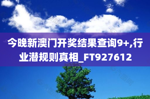 今晚新澳门开奖结果查询9+,行业潜规则真相_FT927612