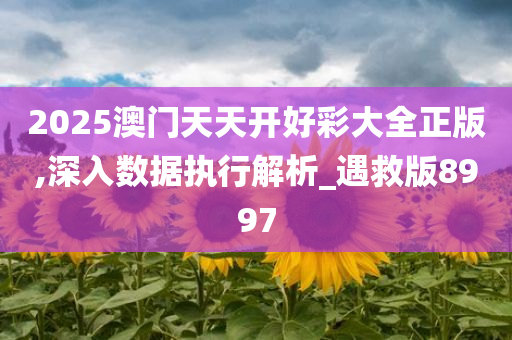 2025澳门天天开好彩大全正版,深入数据执行解析_遇救版8997