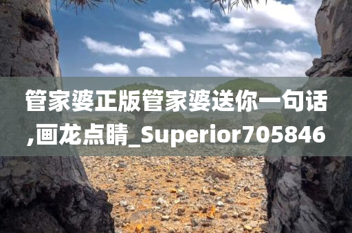 管家婆正版管家婆送你一句话,画龙点睛_Superior705846