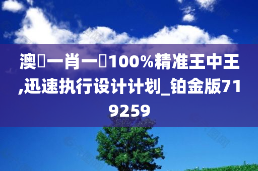 澳門一肖一碼100%精准王中王,迅速执行设计计划_铂金版719259