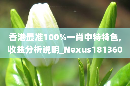 香港最准100%一肖中特特色,收益分析说明_Nexus181360