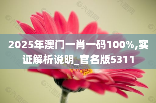 2025年澳门一肖一码100%,实证解析说明_官名版5311