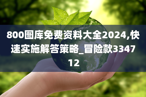 800图库免费资料大全2024,快速实施解答策略_冒险款334712