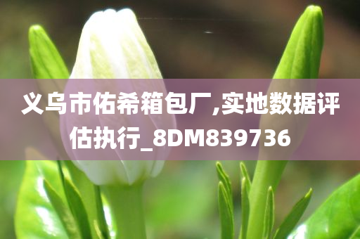 义乌市佑希箱包厂,实地数据评估执行_8DM839736