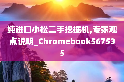 纯进口小松二手挖掘机,专家观点说明_Chromebook567535