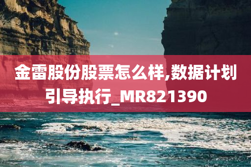 金雷股份股票怎么样,数据计划引导执行_MR821390