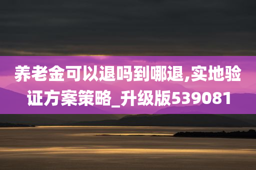 养老金可以退吗到哪退,实地验证方案策略_升级版539081