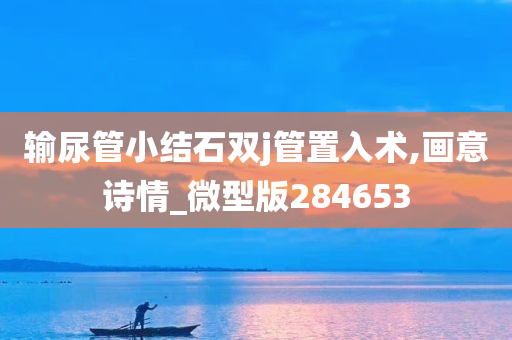 输尿管小结石双j管置入术,画意诗情_微型版284653