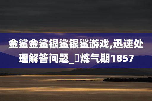 金鲨金鲨银鲨银鲨游戏,迅速处理解答问题_‌炼气期1857