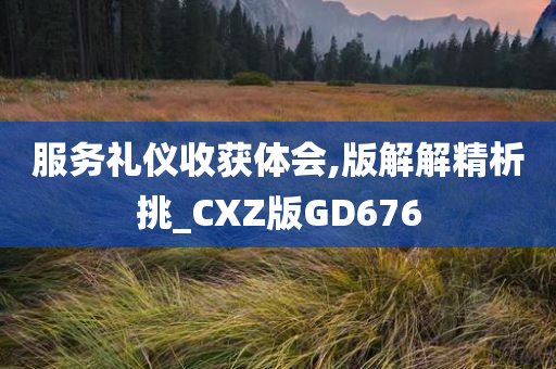 服务礼仪收获体会,版解解精析挑_CXZ版GD676