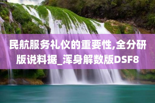 民航服务礼仪的重要性,全分研版说料据_浑身解数版DSF8