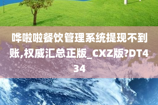 哗啦啦餐饮管理系统提现不到账,权威汇总正版_CXZ版?DT434