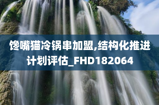 馋嘴猫冷锅串加盟,结构化推进计划评估_FHD182064