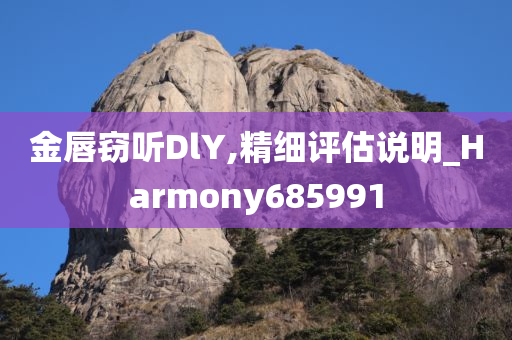 金唇窃听DlY,精细评估说明_Harmony685991