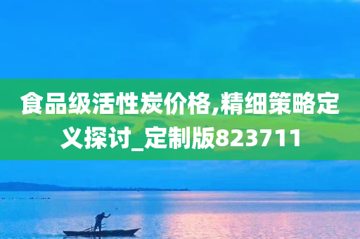 食品级活性炭价格,精细策略定义探讨_定制版823711