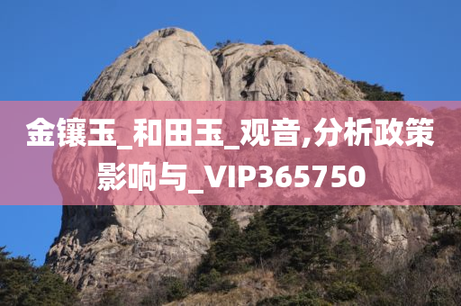 金镶玉_和田玉_观音,分析政策影响与_VIP365750