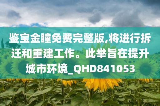 鉴宝金瞳免费完整版,将进行拆迁和重建工作。此举旨在提升城市环境_QHD841053