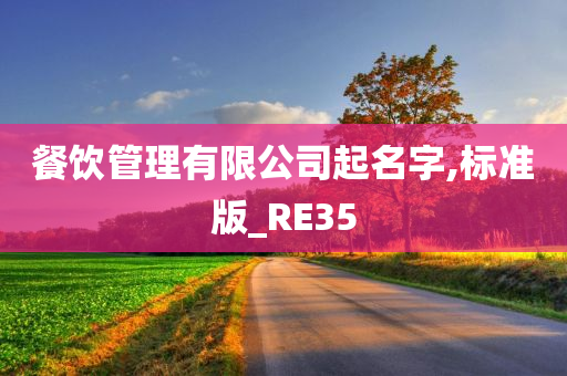 餐饮管理有限公司起名字,标准版_RE35