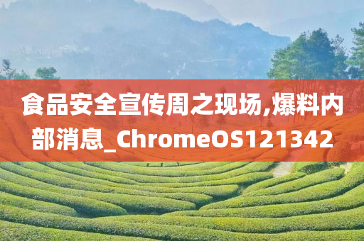 食品安全宣传周之现场,爆料内部消息_ChromeOS121342