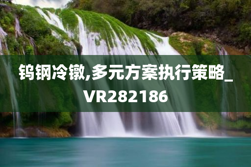 钨钢冷镦,多元方案执行策略_VR282186