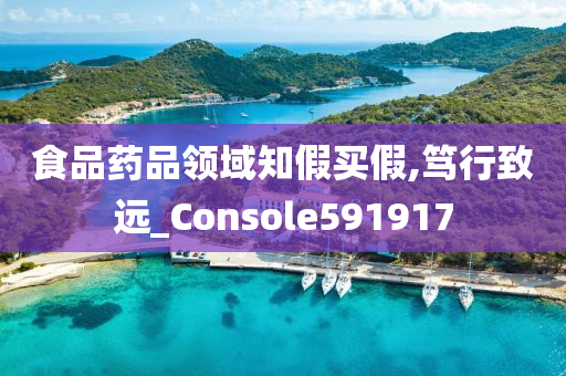 食品药品领域知假买假,笃行致远_Console591917