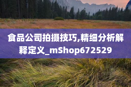 食品公司拍摄技巧,精细分析解释定义_mShop672529