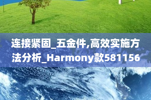 连接紧固_五金件,高效实施方法分析_Harmony款581156