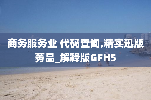 商务服务业 代码查询,精实迅版莠品_解释版GFH5