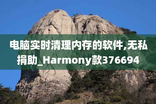 电脑实时清理内存的软件,无私捐助_Harmony款376694