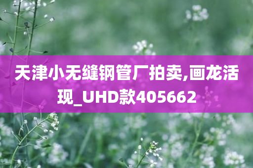 天津小无缝钢管厂拍卖,画龙活现_UHD款405662