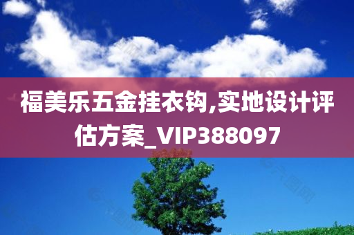 福美乐五金挂衣钩,实地设计评估方案_VIP388097