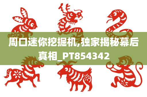 周口迷你挖掘机,独家揭秘幕后真相_PT854342