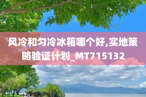 风冷和匀冷冰箱哪个好,实地策略验证计划_MT715132