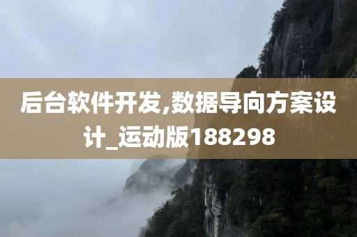 后台软件开发,数据导向方案设计_运动版188298