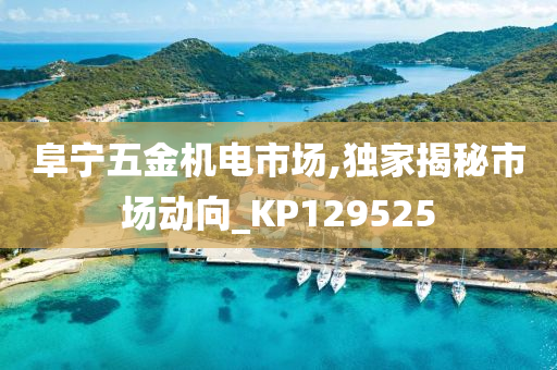 阜宁五金机电市场,独家揭秘市场动向_KP129525