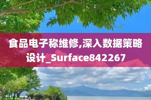 食品电子称维修,深入数据策略设计_Surface842267