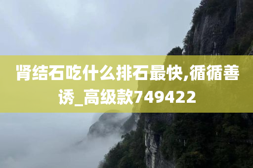 肾结石吃什么排石最快,循循善诱_高级款749422