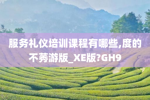 服务礼仪培训课程有哪些,度的不莠游版_XE版?GH9