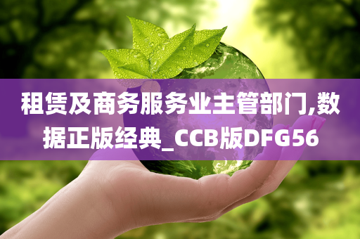 租赁及商务服务业主管部门,数据正版经典_CCB版DFG56