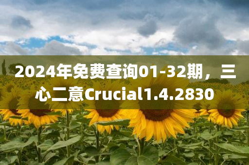 2024年免费查询01-32期，三心二意Crucial1.4.2830