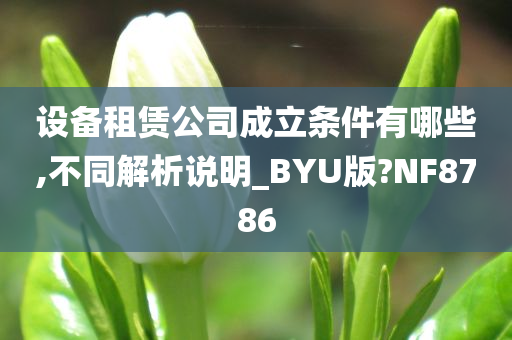 设备租赁公司成立条件有哪些,不同解析说明_BYU版?NF8786