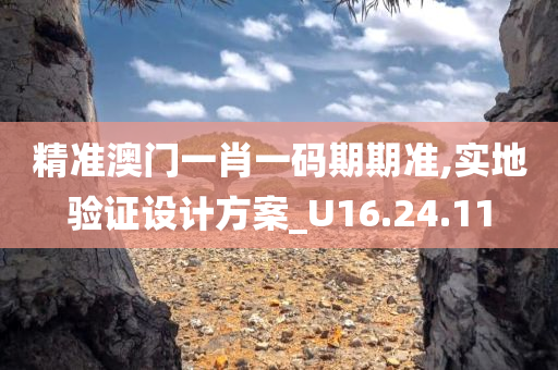 精准澳门一肖一码期期准,实地验证设计方案_U16.24.11