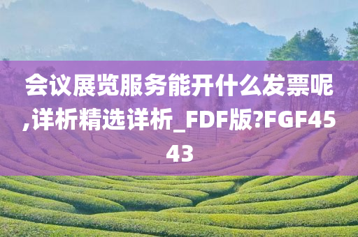 会议展览服务能开什么发票呢,详析精选详析_FDF版?FGF4543