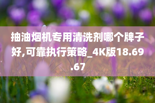 抽油烟机专用清洗剂哪个牌子好,可靠执行策略_4K版18.69.67