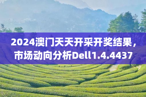 2024澳门天天开采开奖结果，市场动向分析Dell1.4.4437