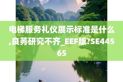 电梯服务礼仪展示标准是什么,良莠研究不齐_EEF版?SE44565